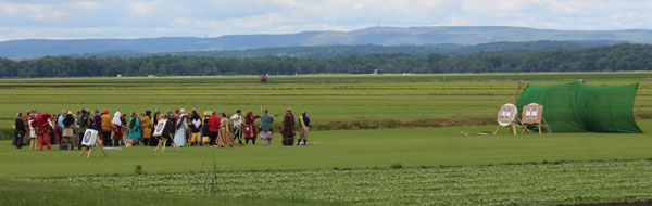 The field.